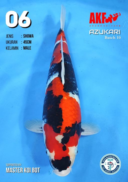 Lelang Koi Online, Jual Beli Ikan Koi, Pusat Jual Beli Koi, Info Lelang Koi Hari Ini, Platform Jual Beli Koi, Jual Beli Ikan Koi Online, Marketplace Ikan Koi, Jual Koi Terbaik, Tempat Beli Koi Berkualitas, Pasar Ikan Koi Online Terpercaya, Penjual Ikan Koi Terpercaya, Beli Koi Hias Online, Ikan Koi untuk Dijual, Koi Kualitas Terbaik, Toko Online Ikan Koi, Koi Hias Untuk Dijual, Jual Beli Ikan Koi Lokal, Koi Indonesia Online, Pusat Jual Beli Koi Terbesar