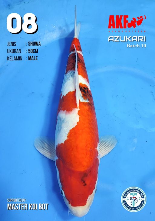 Lelang Koi Online, Jual Beli Ikan Koi, Pusat Jual Beli Koi, Info Lelang Koi Hari Ini, Platform Jual Beli Koi, Jual Beli Ikan Koi Online, Marketplace Ikan Koi, Jual Koi Terbaik, Tempat Beli Koi Berkualitas, Pasar Ikan Koi Online Terpercaya, Penjual Ikan Koi Terpercaya, Beli Koi Hias Online, Ikan Koi untuk Dijual, Koi Kualitas Terbaik, Toko Online Ikan Koi, Koi Hias Untuk Dijual, Jual Beli Ikan Koi Lokal, Koi Indonesia Online, Pusat Jual Beli Koi Terbesar