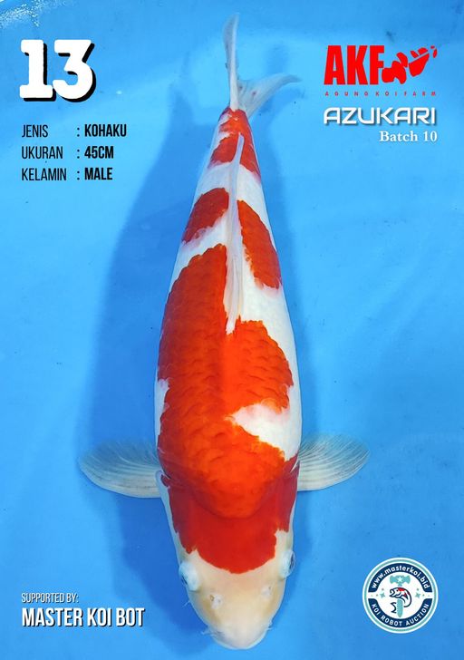 Lelang Koi Online, Jual Beli Ikan Koi, Pusat Jual Beli Koi, Info Lelang Koi Hari Ini, Platform Jual Beli Koi, Jual Beli Ikan Koi Online, Marketplace Ikan Koi, Jual Koi Terbaik, Tempat Beli Koi Berkualitas, Pasar Ikan Koi Online Terpercaya, Penjual Ikan Koi Terpercaya, Beli Koi Hias Online, Ikan Koi untuk Dijual, Koi Kualitas Terbaik, Toko Online Ikan Koi, Koi Hias Untuk Dijual, Jual Beli Ikan Koi Lokal, Koi Indonesia Online, Pusat Jual Beli Koi Terbesar
