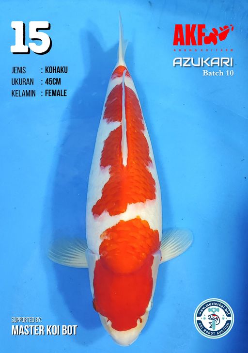 Lelang Koi Online, Jual Beli Ikan Koi, Pusat Jual Beli Koi, Info Lelang Koi Hari Ini, Platform Jual Beli Koi, Jual Beli Ikan Koi Online, Marketplace Ikan Koi, Jual Koi Terbaik, Tempat Beli Koi Berkualitas, Pasar Ikan Koi Online Terpercaya, Penjual Ikan Koi Terpercaya, Beli Koi Hias Online, Ikan Koi untuk Dijual, Koi Kualitas Terbaik, Toko Online Ikan Koi, Koi Hias Untuk Dijual, Jual Beli Ikan Koi Lokal, Koi Indonesia Online, Pusat Jual Beli Koi Terbesar