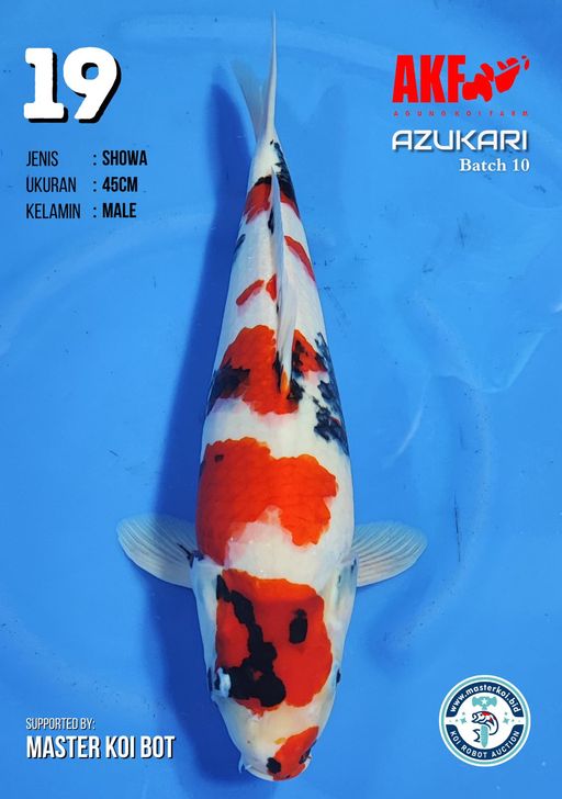 Lelang Koi Online, Jual Beli Ikan Koi, Pusat Jual Beli Koi, Info Lelang Koi Hari Ini, Platform Jual Beli Koi, Jual Beli Ikan Koi Online, Marketplace Ikan Koi, Jual Koi Terbaik, Tempat Beli Koi Berkualitas, Pasar Ikan Koi Online Terpercaya, Penjual Ikan Koi Terpercaya, Beli Koi Hias Online, Ikan Koi untuk Dijual, Koi Kualitas Terbaik, Toko Online Ikan Koi, Koi Hias Untuk Dijual, Jual Beli Ikan Koi Lokal, Koi Indonesia Online, Pusat Jual Beli Koi Terbesar