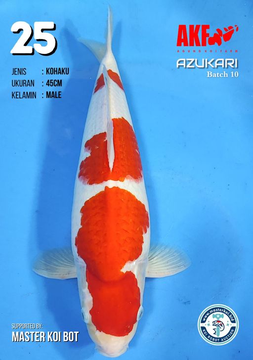 Lelang Koi Online, Jual Beli Ikan Koi, Pusat Jual Beli Koi, Info Lelang Koi Hari Ini, Platform Jual Beli Koi, Jual Beli Ikan Koi Online, Marketplace Ikan Koi, Jual Koi Terbaik, Tempat Beli Koi Berkualitas, Pasar Ikan Koi Online Terpercaya, Penjual Ikan Koi Terpercaya, Beli Koi Hias Online, Ikan Koi untuk Dijual, Koi Kualitas Terbaik, Toko Online Ikan Koi, Koi Hias Untuk Dijual, Jual Beli Ikan Koi Lokal, Koi Indonesia Online, Pusat Jual Beli Koi Terbesar