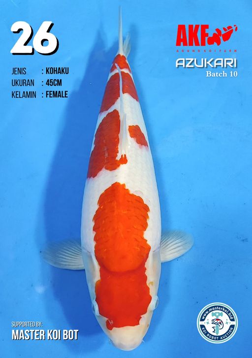 Lelang Koi Online, Jual Beli Ikan Koi, Pusat Jual Beli Koi, Info Lelang Koi Hari Ini, Platform Jual Beli Koi, Jual Beli Ikan Koi Online, Marketplace Ikan Koi, Jual Koi Terbaik, Tempat Beli Koi Berkualitas, Pasar Ikan Koi Online Terpercaya, Penjual Ikan Koi Terpercaya, Beli Koi Hias Online, Ikan Koi untuk Dijual, Koi Kualitas Terbaik, Toko Online Ikan Koi, Koi Hias Untuk Dijual, Jual Beli Ikan Koi Lokal, Koi Indonesia Online, Pusat Jual Beli Koi Terbesar