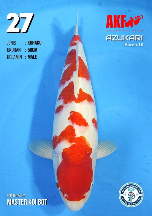 Lelang Koi Online, Jual Beli Ikan Koi, Pusat Jual Beli Koi, Info Lelang Koi Hari Ini, Platform Jual Beli Koi, Jual Beli Ikan Koi Online, Marketplace Ikan Koi, Jual Koi Terbaik, Tempat Beli Koi Berkualitas, Pasar Ikan Koi Online Terpercaya, Penjual Ikan Koi Terpercaya, Beli Koi Hias Online, Ikan Koi untuk Dijual, Koi Kualitas Terbaik, Toko Online Ikan Koi, Koi Hias Untuk Dijual, Jual Beli Ikan Koi Lokal, Koi Indonesia Online, Pusat Jual Beli Koi Terbesar