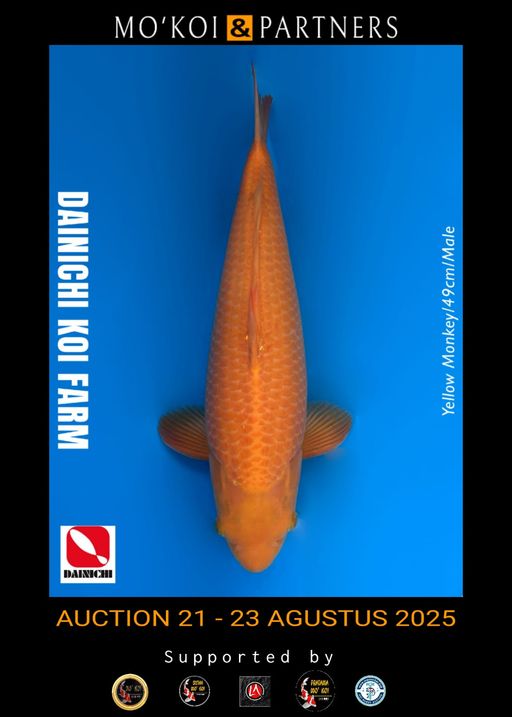 Lelang Koi Online, Jual Beli Ikan Koi, Pusat Jual Beli Koi, Info Lelang Koi Hari Ini, Platform Jual Beli Koi, Jual Beli Ikan Koi Online, Marketplace Ikan Koi, Jual Koi Terbaik, Tempat Beli Koi Berkualitas, Pasar Ikan Koi Online Terpercaya, Penjual Ikan Koi Terpercaya, Beli Koi Hias Online, Ikan Koi untuk Dijual, Koi Kualitas Terbaik, Toko Online Ikan Koi, Koi Hias Untuk Dijual, Jual Beli Ikan Koi Lokal, Koi Indonesia Online, Pusat Jual Beli Koi Terbesar