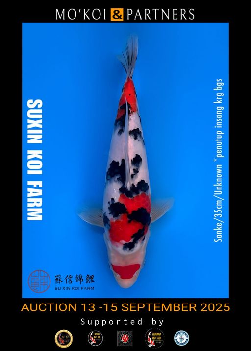 Lelang Koi Online, Jual Beli Ikan Koi, Pusat Jual Beli Koi, Info Lelang Koi Hari Ini, Platform Jual Beli Koi, Jual Beli Ikan Koi Online, Marketplace Ikan Koi, Jual Koi Terbaik, Tempat Beli Koi Berkualitas, Pasar Ikan Koi Online Terpercaya, Penjual Ikan Koi Terpercaya, Beli Koi Hias Online, Ikan Koi untuk Dijual, Koi Kualitas Terbaik, Toko Online Ikan Koi, Koi Hias Untuk Dijual, Jual Beli Ikan Koi Lokal, Koi Indonesia Online, Pusat Jual Beli Koi Terbesar