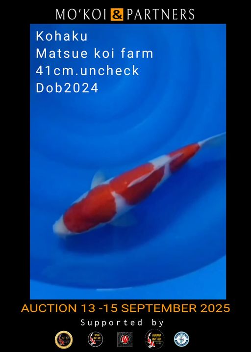 Lelang Koi Online, Jual Beli Ikan Koi, Pusat Jual Beli Koi, Info Lelang Koi Hari Ini, Platform Jual Beli Koi, Jual Beli Ikan Koi Online, Marketplace Ikan Koi, Jual Koi Terbaik, Tempat Beli Koi Berkualitas, Pasar Ikan Koi Online Terpercaya, Penjual Ikan Koi Terpercaya, Beli Koi Hias Online, Ikan Koi untuk Dijual, Koi Kualitas Terbaik, Toko Online Ikan Koi, Koi Hias Untuk Dijual, Jual Beli Ikan Koi Lokal, Koi Indonesia Online, Pusat Jual Beli Koi Terbesar