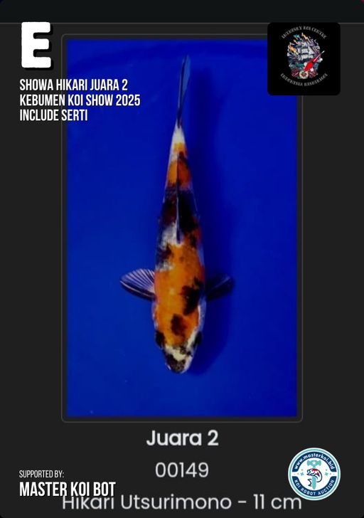 Lelang Koi Online, Jual Beli Ikan Koi, Pusat Jual Beli Koi, Info Lelang Koi Hari Ini, Platform Jual Beli Koi, Jual Beli Ikan Koi Online, Marketplace Ikan Koi, Jual Koi Terbaik, Tempat Beli Koi Berkualitas, Pasar Ikan Koi Online Terpercaya, Penjual Ikan Koi Terpercaya, Beli Koi Hias Online, Ikan Koi untuk Dijual, Koi Kualitas Terbaik, Toko Online Ikan Koi, Koi Hias Untuk Dijual, Jual Beli Ikan Koi Lokal, Koi Indonesia Online, Pusat Jual Beli Koi Terbesar