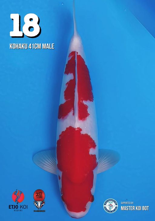 Lelang Koi Online, Jual Beli Ikan Koi, Pusat Jual Beli Koi, Info Lelang Koi Hari Ini, Platform Jual Beli Koi, Jual Beli Ikan Koi Online, Marketplace Ikan Koi, Jual Koi Terbaik, Tempat Beli Koi Berkualitas, Pasar Ikan Koi Online Terpercaya, Penjual Ikan Koi Terpercaya, Beli Koi Hias Online, Ikan Koi untuk Dijual, Koi Kualitas Terbaik, Toko Online Ikan Koi, Koi Hias Untuk Dijual, Jual Beli Ikan Koi Lokal, Koi Indonesia Online, Pusat Jual Beli Koi Terbesar