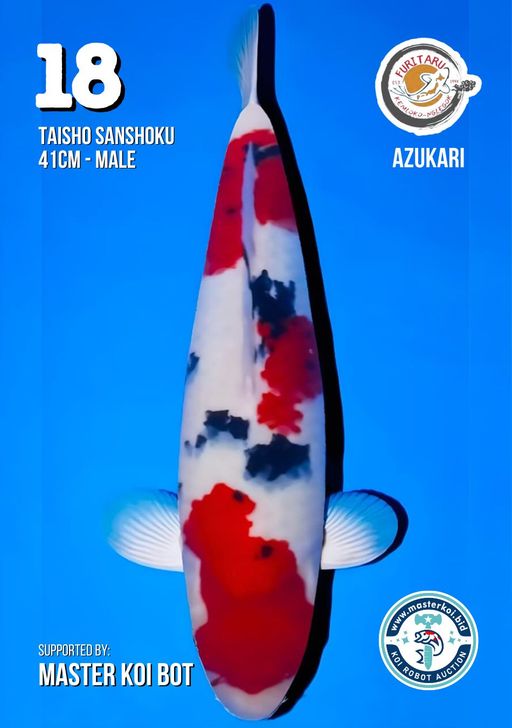 Lelang Koi Online, Jual Beli Ikan Koi, Pusat Jual Beli Koi, Info Lelang Koi Hari Ini, Platform Jual Beli Koi, Jual Beli Ikan Koi Online, Marketplace Ikan Koi, Jual Koi Terbaik, Tempat Beli Koi Berkualitas, Pasar Ikan Koi Online Terpercaya, Penjual Ikan Koi Terpercaya, Beli Koi Hias Online, Ikan Koi untuk Dijual, Koi Kualitas Terbaik, Toko Online Ikan Koi, Koi Hias Untuk Dijual, Jual Beli Ikan Koi Lokal, Koi Indonesia Online, Pusat Jual Beli Koi Terbesar