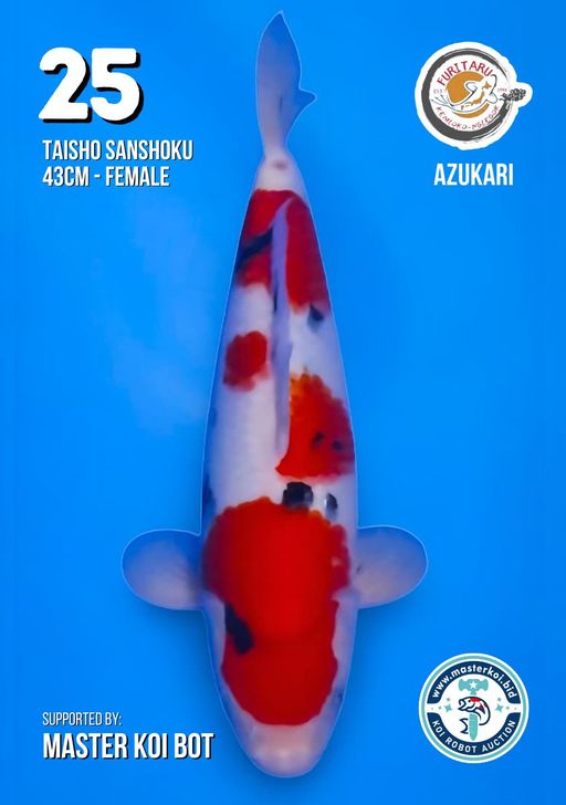 Lelang Koi Online, Jual Beli Ikan Koi, Pusat Jual Beli Koi, Info Lelang Koi Hari Ini, Platform Jual Beli Koi, Jual Beli Ikan Koi Online, Marketplace Ikan Koi, Jual Koi Terbaik, Tempat Beli Koi Berkualitas, Pasar Ikan Koi Online Terpercaya, Penjual Ikan Koi Terpercaya, Beli Koi Hias Online, Ikan Koi untuk Dijual, Koi Kualitas Terbaik, Toko Online Ikan Koi, Koi Hias Untuk Dijual, Jual Beli Ikan Koi Lokal, Koi Indonesia Online, Pusat Jual Beli Koi Terbesar