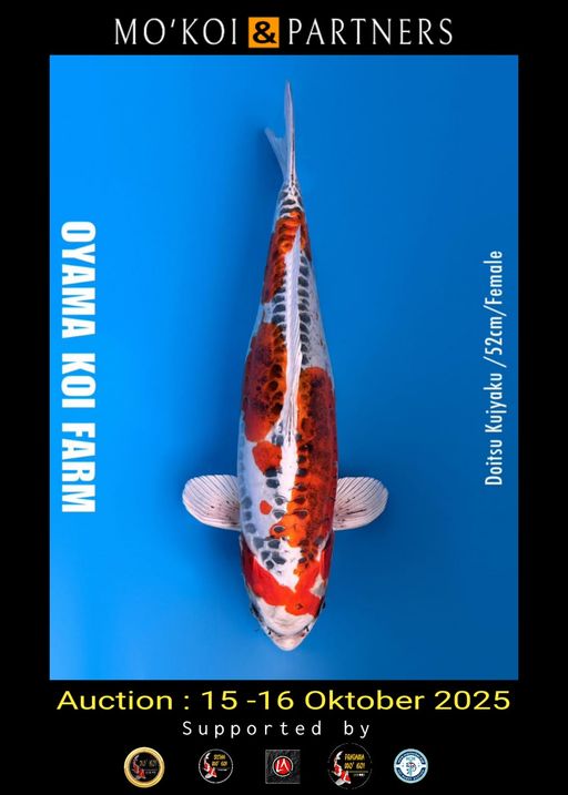 Lelang Koi Online, Jual Beli Ikan Koi, Pusat Jual Beli Koi, Info Lelang Koi Hari Ini, Platform Jual Beli Koi, Jual Beli Ikan Koi Online, Marketplace Ikan Koi, Jual Koi Terbaik, Tempat Beli Koi Berkualitas, Pasar Ikan Koi Online Terpercaya, Penjual Ikan Koi Terpercaya, Beli Koi Hias Online, Ikan Koi untuk Dijual, Koi Kualitas Terbaik, Toko Online Ikan Koi, Koi Hias Untuk Dijual, Jual Beli Ikan Koi Lokal, Koi Indonesia Online, Pusat Jual Beli Koi Terbesar