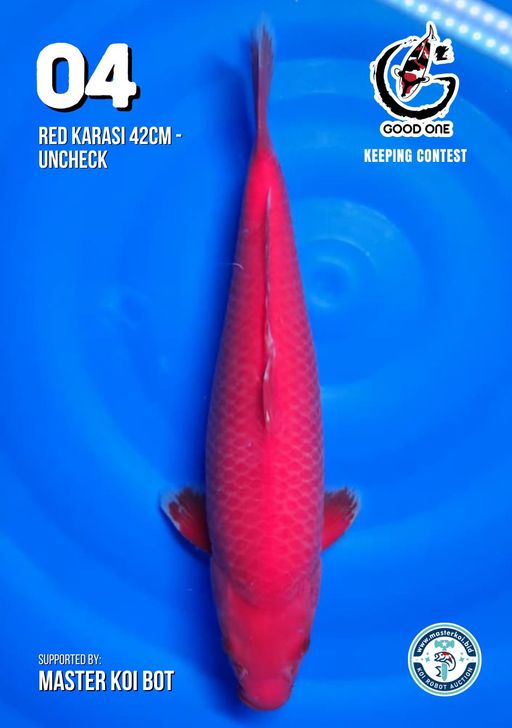 Lelang Koi Online, Jual Beli Ikan Koi, Pusat Jual Beli Koi, Info Lelang Koi Hari Ini, Platform Jual Beli Koi, Jual Beli Ikan Koi Online, Marketplace Ikan Koi, Jual Koi Terbaik, Tempat Beli Koi Berkualitas, Pasar Ikan Koi Online Terpercaya, Penjual Ikan Koi Terpercaya, Beli Koi Hias Online, Ikan Koi untuk Dijual, Koi Kualitas Terbaik, Toko Online Ikan Koi, Koi Hias Untuk Dijual, Jual Beli Ikan Koi Lokal, Koi Indonesia Online, Pusat Jual Beli Koi Terbesar