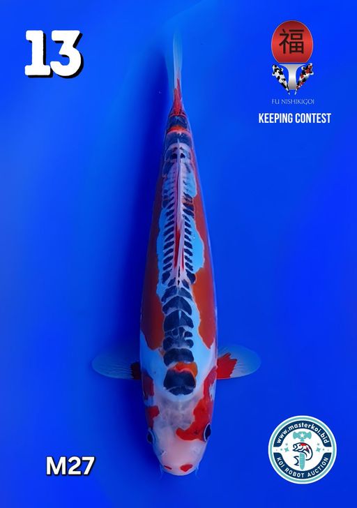 Lelang Koi Online, Jual Beli Ikan Koi, Pusat Jual Beli Koi, Info Lelang Koi Hari Ini, Platform Jual Beli Koi, Jual Beli Ikan Koi Online, Marketplace Ikan Koi, Jual Koi Terbaik, Tempat Beli Koi Berkualitas, Pasar Ikan Koi Online Terpercaya, Penjual Ikan Koi Terpercaya, Beli Koi Hias Online, Ikan Koi untuk Dijual, Koi Kualitas Terbaik, Toko Online Ikan Koi, Koi Hias Untuk Dijual, Jual Beli Ikan Koi Lokal, Koi Indonesia Online, Pusat Jual Beli Koi Terbesar