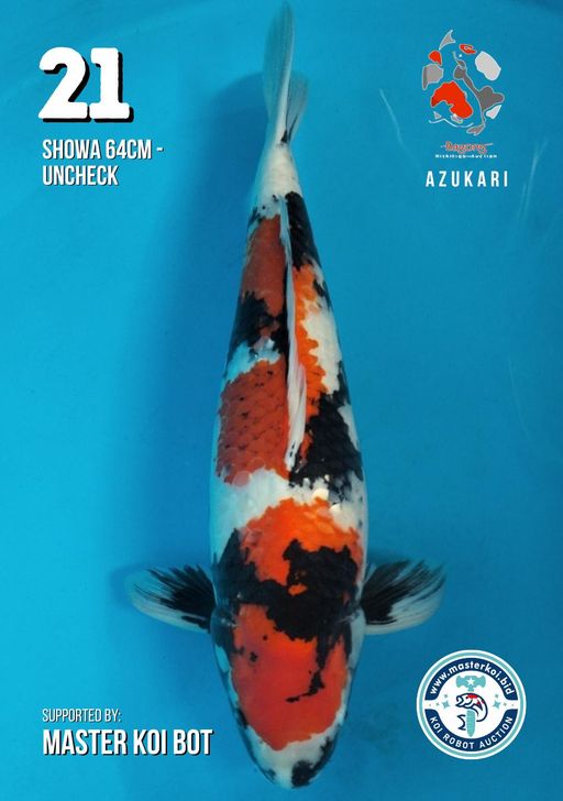 Lelang Koi Online, Jual Beli Ikan Koi, Pusat Jual Beli Koi, Info Lelang Koi Hari Ini, Platform Jual Beli Koi, Jual Beli Ikan Koi Online, Marketplace Ikan Koi, Jual Koi Terbaik, Tempat Beli Koi Berkualitas, Pasar Ikan Koi Online Terpercaya, Penjual Ikan Koi Terpercaya, Beli Koi Hias Online, Ikan Koi untuk Dijual, Koi Kualitas Terbaik, Toko Online Ikan Koi, Koi Hias Untuk Dijual, Jual Beli Ikan Koi Lokal, Koi Indonesia Online, Pusat Jual Beli Koi Terbesar