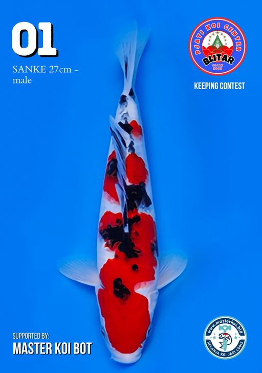 Lelang Koi Online, Jual Beli Ikan Koi, Pusat Jual Beli Koi, Info Lelang Koi Hari Ini, Platform Jual Beli Koi, Jual Beli Ikan Koi Online, Marketplace Ikan Koi, Jual Koi Terbaik, Tempat Beli Koi Berkualitas, Pasar Ikan Koi Online Terpercaya, Penjual Ikan Koi Terpercaya, Beli Koi Hias Online, Ikan Koi untuk Dijual, Koi Kualitas Terbaik, Toko Online Ikan Koi, Koi Hias Untuk Dijual, Jual Beli Ikan Koi Lokal, Koi Indonesia Online, Pusat Jual Beli Koi Terbesar