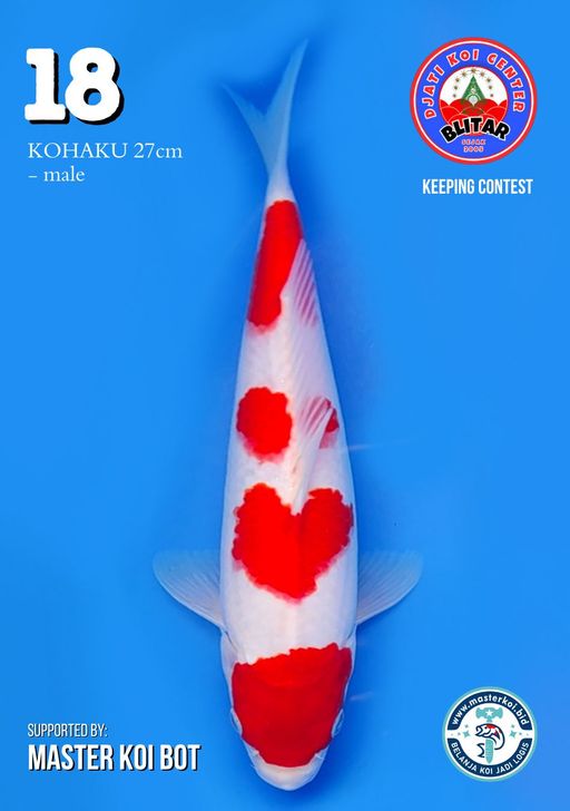 Lelang Koi Online, Jual Beli Ikan Koi, Pusat Jual Beli Koi, Info Lelang Koi Hari Ini, Platform Jual Beli Koi, Jual Beli Ikan Koi Online, Marketplace Ikan Koi, Jual Koi Terbaik, Tempat Beli Koi Berkualitas, Pasar Ikan Koi Online Terpercaya, Penjual Ikan Koi Terpercaya, Beli Koi Hias Online, Ikan Koi untuk Dijual, Koi Kualitas Terbaik, Toko Online Ikan Koi, Koi Hias Untuk Dijual, Jual Beli Ikan Koi Lokal, Koi Indonesia Online, Pusat Jual Beli Koi Terbesar