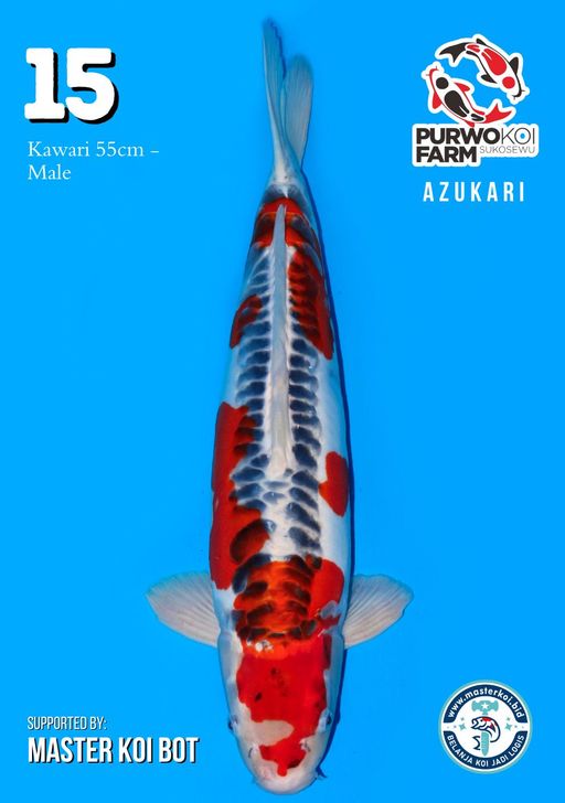 Lelang Koi Online, Jual Beli Ikan Koi, Pusat Jual Beli Koi, Info Lelang Koi Hari Ini, Platform Jual Beli Koi, Jual Beli Ikan Koi Online, Marketplace Ikan Koi, Jual Koi Terbaik, Tempat Beli Koi Berkualitas, Pasar Ikan Koi Online Terpercaya, Penjual Ikan Koi Terpercaya, Beli Koi Hias Online, Ikan Koi untuk Dijual, Koi Kualitas Terbaik, Toko Online Ikan Koi, Koi Hias Untuk Dijual, Jual Beli Ikan Koi Lokal, Koi Indonesia Online, Pusat Jual Beli Koi Terbesar