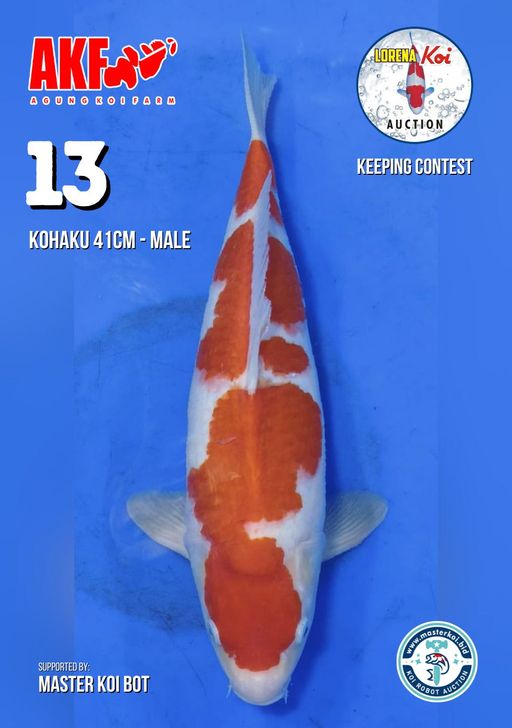 Lelang Koi Online, Jual Beli Ikan Koi, Pusat Jual Beli Koi, Info Lelang Koi Hari Ini, Platform Jual Beli Koi, Jual Beli Ikan Koi Online, Marketplace Ikan Koi, Jual Koi Terbaik, Tempat Beli Koi Berkualitas, Pasar Ikan Koi Online Terpercaya, Penjual Ikan Koi Terpercaya, Beli Koi Hias Online, Ikan Koi untuk Dijual, Koi Kualitas Terbaik, Toko Online Ikan Koi, Koi Hias Untuk Dijual, Jual Beli Ikan Koi Lokal, Koi Indonesia Online, Pusat Jual Beli Koi Terbesar