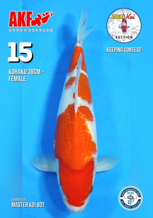 Lelang Koi Online, Jual Beli Ikan Koi, Pusat Jual Beli Koi, Info Lelang Koi Hari Ini, Platform Jual Beli Koi, Jual Beli Ikan Koi Online, Marketplace Ikan Koi, Jual Koi Terbaik, Tempat Beli Koi Berkualitas, Pasar Ikan Koi Online Terpercaya, Penjual Ikan Koi Terpercaya, Beli Koi Hias Online, Ikan Koi untuk Dijual, Koi Kualitas Terbaik, Toko Online Ikan Koi, Koi Hias Untuk Dijual, Jual Beli Ikan Koi Lokal, Koi Indonesia Online, Pusat Jual Beli Koi Terbesar