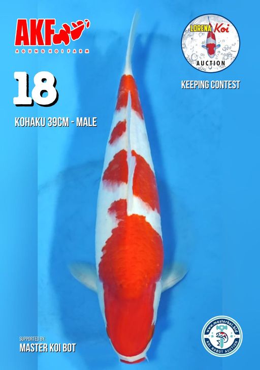 Lelang Koi Online, Jual Beli Ikan Koi, Pusat Jual Beli Koi, Info Lelang Koi Hari Ini, Platform Jual Beli Koi, Jual Beli Ikan Koi Online, Marketplace Ikan Koi, Jual Koi Terbaik, Tempat Beli Koi Berkualitas, Pasar Ikan Koi Online Terpercaya, Penjual Ikan Koi Terpercaya, Beli Koi Hias Online, Ikan Koi untuk Dijual, Koi Kualitas Terbaik, Toko Online Ikan Koi, Koi Hias Untuk Dijual, Jual Beli Ikan Koi Lokal, Koi Indonesia Online, Pusat Jual Beli Koi Terbesar