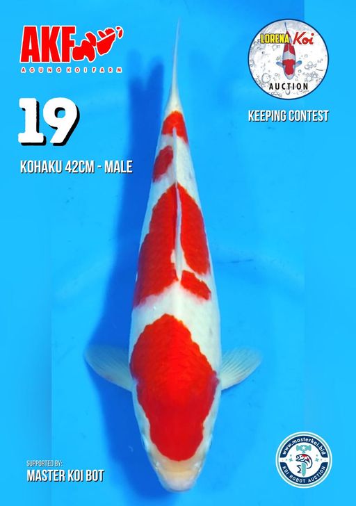 Lelang Koi Online, Jual Beli Ikan Koi, Pusat Jual Beli Koi, Info Lelang Koi Hari Ini, Platform Jual Beli Koi, Jual Beli Ikan Koi Online, Marketplace Ikan Koi, Jual Koi Terbaik, Tempat Beli Koi Berkualitas, Pasar Ikan Koi Online Terpercaya, Penjual Ikan Koi Terpercaya, Beli Koi Hias Online, Ikan Koi untuk Dijual, Koi Kualitas Terbaik, Toko Online Ikan Koi, Koi Hias Untuk Dijual, Jual Beli Ikan Koi Lokal, Koi Indonesia Online, Pusat Jual Beli Koi Terbesar
