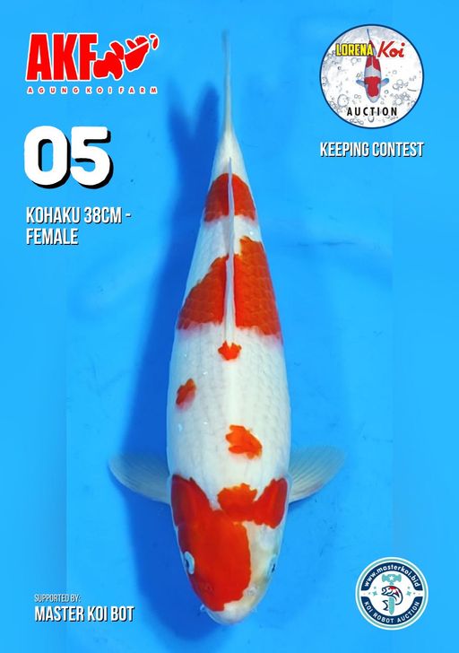 Lelang Koi Online, Jual Beli Ikan Koi, Pusat Jual Beli Koi, Info Lelang Koi Hari Ini, Platform Jual Beli Koi, Jual Beli Ikan Koi Online, Marketplace Ikan Koi, Jual Koi Terbaik, Tempat Beli Koi Berkualitas, Pasar Ikan Koi Online Terpercaya, Penjual Ikan Koi Terpercaya, Beli Koi Hias Online, Ikan Koi untuk Dijual, Koi Kualitas Terbaik, Toko Online Ikan Koi, Koi Hias Untuk Dijual, Jual Beli Ikan Koi Lokal, Koi Indonesia Online, Pusat Jual Beli Koi Terbesar