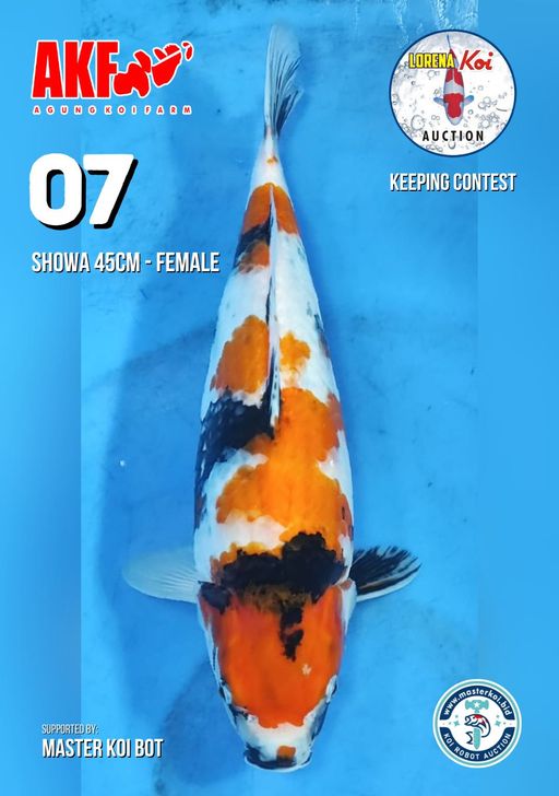 Lelang Koi Online, Jual Beli Ikan Koi, Pusat Jual Beli Koi, Info Lelang Koi Hari Ini, Platform Jual Beli Koi, Jual Beli Ikan Koi Online, Marketplace Ikan Koi, Jual Koi Terbaik, Tempat Beli Koi Berkualitas, Pasar Ikan Koi Online Terpercaya, Penjual Ikan Koi Terpercaya, Beli Koi Hias Online, Ikan Koi untuk Dijual, Koi Kualitas Terbaik, Toko Online Ikan Koi, Koi Hias Untuk Dijual, Jual Beli Ikan Koi Lokal, Koi Indonesia Online, Pusat Jual Beli Koi Terbesar