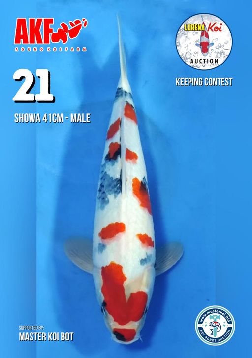 Lelang Koi Online, Jual Beli Ikan Koi, Pusat Jual Beli Koi, Info Lelang Koi Hari Ini, Platform Jual Beli Koi, Jual Beli Ikan Koi Online, Marketplace Ikan Koi, Jual Koi Terbaik, Tempat Beli Koi Berkualitas, Pasar Ikan Koi Online Terpercaya, Penjual Ikan Koi Terpercaya, Beli Koi Hias Online, Ikan Koi untuk Dijual, Koi Kualitas Terbaik, Toko Online Ikan Koi, Koi Hias Untuk Dijual, Jual Beli Ikan Koi Lokal, Koi Indonesia Online, Pusat Jual Beli Koi Terbesar