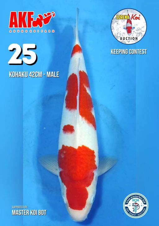 Lelang Koi Online, Jual Beli Ikan Koi, Pusat Jual Beli Koi, Info Lelang Koi Hari Ini, Platform Jual Beli Koi, Jual Beli Ikan Koi Online, Marketplace Ikan Koi, Jual Koi Terbaik, Tempat Beli Koi Berkualitas, Pasar Ikan Koi Online Terpercaya, Penjual Ikan Koi Terpercaya, Beli Koi Hias Online, Ikan Koi untuk Dijual, Koi Kualitas Terbaik, Toko Online Ikan Koi, Koi Hias Untuk Dijual, Jual Beli Ikan Koi Lokal, Koi Indonesia Online, Pusat Jual Beli Koi Terbesar