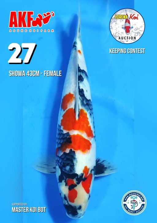 Lelang Koi Online, Jual Beli Ikan Koi, Pusat Jual Beli Koi, Info Lelang Koi Hari Ini, Platform Jual Beli Koi, Jual Beli Ikan Koi Online, Marketplace Ikan Koi, Jual Koi Terbaik, Tempat Beli Koi Berkualitas, Pasar Ikan Koi Online Terpercaya, Penjual Ikan Koi Terpercaya, Beli Koi Hias Online, Ikan Koi untuk Dijual, Koi Kualitas Terbaik, Toko Online Ikan Koi, Koi Hias Untuk Dijual, Jual Beli Ikan Koi Lokal, Koi Indonesia Online, Pusat Jual Beli Koi Terbesar