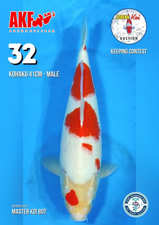 Lelang Koi Online, Jual Beli Ikan Koi, Pusat Jual Beli Koi, Info Lelang Koi Hari Ini, Platform Jual Beli Koi, Jual Beli Ikan Koi Online, Marketplace Ikan Koi, Jual Koi Terbaik, Tempat Beli Koi Berkualitas, Pasar Ikan Koi Online Terpercaya, Penjual Ikan Koi Terpercaya, Beli Koi Hias Online, Ikan Koi untuk Dijual, Koi Kualitas Terbaik, Toko Online Ikan Koi, Koi Hias Untuk Dijual, Jual Beli Ikan Koi Lokal, Koi Indonesia Online, Pusat Jual Beli Koi Terbesar