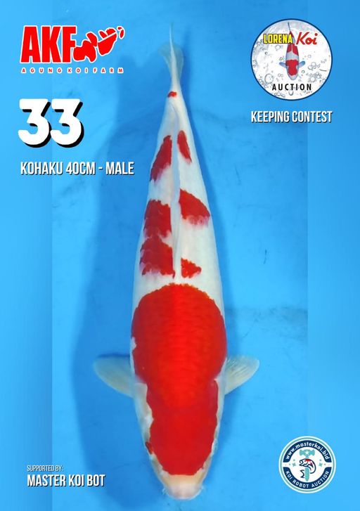 Lelang Koi Online, Jual Beli Ikan Koi, Pusat Jual Beli Koi, Info Lelang Koi Hari Ini, Platform Jual Beli Koi, Jual Beli Ikan Koi Online, Marketplace Ikan Koi, Jual Koi Terbaik, Tempat Beli Koi Berkualitas, Pasar Ikan Koi Online Terpercaya, Penjual Ikan Koi Terpercaya, Beli Koi Hias Online, Ikan Koi untuk Dijual, Koi Kualitas Terbaik, Toko Online Ikan Koi, Koi Hias Untuk Dijual, Jual Beli Ikan Koi Lokal, Koi Indonesia Online, Pusat Jual Beli Koi Terbesar