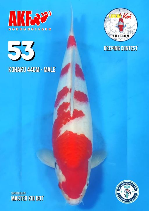 Lelang Koi Online, Jual Beli Ikan Koi, Pusat Jual Beli Koi, Info Lelang Koi Hari Ini, Platform Jual Beli Koi, Jual Beli Ikan Koi Online, Marketplace Ikan Koi, Jual Koi Terbaik, Tempat Beli Koi Berkualitas, Pasar Ikan Koi Online Terpercaya, Penjual Ikan Koi Terpercaya, Beli Koi Hias Online, Ikan Koi untuk Dijual, Koi Kualitas Terbaik, Toko Online Ikan Koi, Koi Hias Untuk Dijual, Jual Beli Ikan Koi Lokal, Koi Indonesia Online, Pusat Jual Beli Koi Terbesar