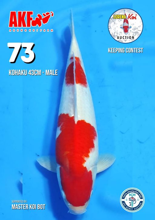 Lelang Koi Online, Jual Beli Ikan Koi, Pusat Jual Beli Koi, Info Lelang Koi Hari Ini, Platform Jual Beli Koi, Jual Beli Ikan Koi Online, Marketplace Ikan Koi, Jual Koi Terbaik, Tempat Beli Koi Berkualitas, Pasar Ikan Koi Online Terpercaya, Penjual Ikan Koi Terpercaya, Beli Koi Hias Online, Ikan Koi untuk Dijual, Koi Kualitas Terbaik, Toko Online Ikan Koi, Koi Hias Untuk Dijual, Jual Beli Ikan Koi Lokal, Koi Indonesia Online, Pusat Jual Beli Koi Terbesar