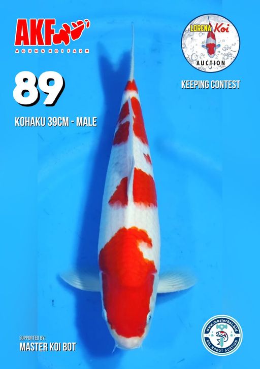 Lelang Koi Online, Jual Beli Ikan Koi, Pusat Jual Beli Koi, Info Lelang Koi Hari Ini, Platform Jual Beli Koi, Jual Beli Ikan Koi Online, Marketplace Ikan Koi, Jual Koi Terbaik, Tempat Beli Koi Berkualitas, Pasar Ikan Koi Online Terpercaya, Penjual Ikan Koi Terpercaya, Beli Koi Hias Online, Ikan Koi untuk Dijual, Koi Kualitas Terbaik, Toko Online Ikan Koi, Koi Hias Untuk Dijual, Jual Beli Ikan Koi Lokal, Koi Indonesia Online, Pusat Jual Beli Koi Terbesar