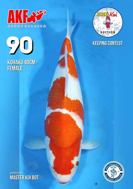 Lelang Koi Online, Jual Beli Ikan Koi, Pusat Jual Beli Koi, Info Lelang Koi Hari Ini, Platform Jual Beli Koi, Jual Beli Ikan Koi Online, Marketplace Ikan Koi, Jual Koi Terbaik, Tempat Beli Koi Berkualitas, Pasar Ikan Koi Online Terpercaya, Penjual Ikan Koi Terpercaya, Beli Koi Hias Online, Ikan Koi untuk Dijual, Koi Kualitas Terbaik, Toko Online Ikan Koi, Koi Hias Untuk Dijual, Jual Beli Ikan Koi Lokal, Koi Indonesia Online, Pusat Jual Beli Koi Terbesar