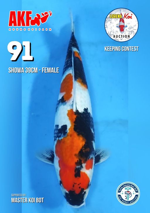 Lelang Koi Online, Jual Beli Ikan Koi, Pusat Jual Beli Koi, Info Lelang Koi Hari Ini, Platform Jual Beli Koi, Jual Beli Ikan Koi Online, Marketplace Ikan Koi, Jual Koi Terbaik, Tempat Beli Koi Berkualitas, Pasar Ikan Koi Online Terpercaya, Penjual Ikan Koi Terpercaya, Beli Koi Hias Online, Ikan Koi untuk Dijual, Koi Kualitas Terbaik, Toko Online Ikan Koi, Koi Hias Untuk Dijual, Jual Beli Ikan Koi Lokal, Koi Indonesia Online, Pusat Jual Beli Koi Terbesar