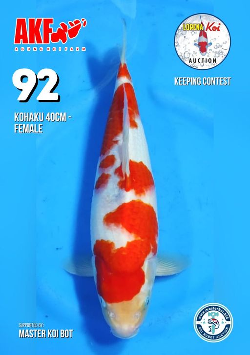 Lelang Koi Online, Jual Beli Ikan Koi, Pusat Jual Beli Koi, Info Lelang Koi Hari Ini, Platform Jual Beli Koi, Jual Beli Ikan Koi Online, Marketplace Ikan Koi, Jual Koi Terbaik, Tempat Beli Koi Berkualitas, Pasar Ikan Koi Online Terpercaya, Penjual Ikan Koi Terpercaya, Beli Koi Hias Online, Ikan Koi untuk Dijual, Koi Kualitas Terbaik, Toko Online Ikan Koi, Koi Hias Untuk Dijual, Jual Beli Ikan Koi Lokal, Koi Indonesia Online, Pusat Jual Beli Koi Terbesar