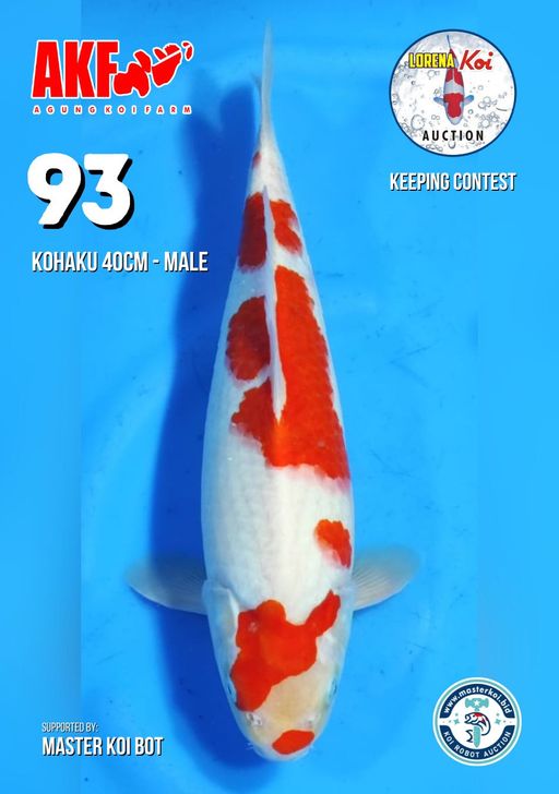 Lelang Koi Online, Jual Beli Ikan Koi, Pusat Jual Beli Koi, Info Lelang Koi Hari Ini, Platform Jual Beli Koi, Jual Beli Ikan Koi Online, Marketplace Ikan Koi, Jual Koi Terbaik, Tempat Beli Koi Berkualitas, Pasar Ikan Koi Online Terpercaya, Penjual Ikan Koi Terpercaya, Beli Koi Hias Online, Ikan Koi untuk Dijual, Koi Kualitas Terbaik, Toko Online Ikan Koi, Koi Hias Untuk Dijual, Jual Beli Ikan Koi Lokal, Koi Indonesia Online, Pusat Jual Beli Koi Terbesar