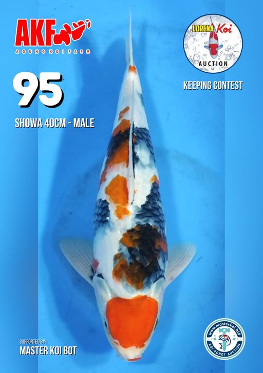 Lelang Koi Online, Jual Beli Ikan Koi, Pusat Jual Beli Koi, Info Lelang Koi Hari Ini, Platform Jual Beli Koi, Jual Beli Ikan Koi Online, Marketplace Ikan Koi, Jual Koi Terbaik, Tempat Beli Koi Berkualitas, Pasar Ikan Koi Online Terpercaya, Penjual Ikan Koi Terpercaya, Beli Koi Hias Online, Ikan Koi untuk Dijual, Koi Kualitas Terbaik, Toko Online Ikan Koi, Koi Hias Untuk Dijual, Jual Beli Ikan Koi Lokal, Koi Indonesia Online, Pusat Jual Beli Koi Terbesar