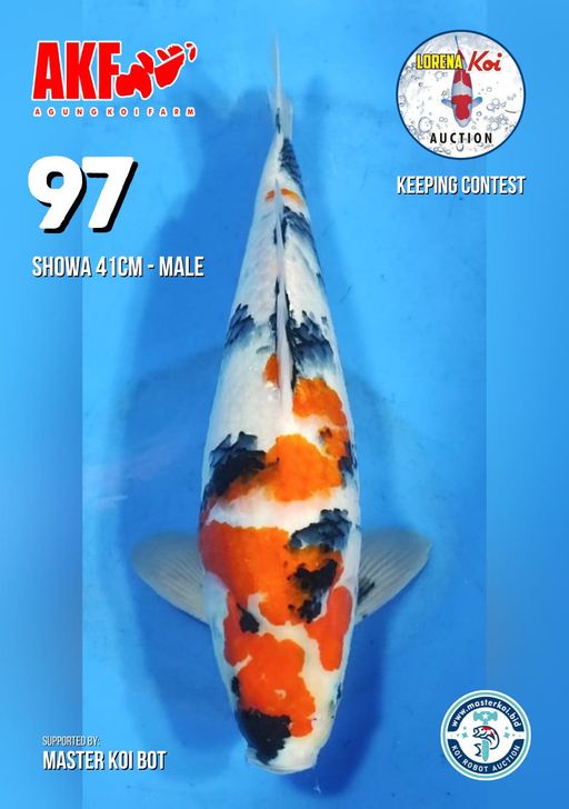 Lelang Koi Online, Jual Beli Ikan Koi, Pusat Jual Beli Koi, Info Lelang Koi Hari Ini, Platform Jual Beli Koi, Jual Beli Ikan Koi Online, Marketplace Ikan Koi, Jual Koi Terbaik, Tempat Beli Koi Berkualitas, Pasar Ikan Koi Online Terpercaya, Penjual Ikan Koi Terpercaya, Beli Koi Hias Online, Ikan Koi untuk Dijual, Koi Kualitas Terbaik, Toko Online Ikan Koi, Koi Hias Untuk Dijual, Jual Beli Ikan Koi Lokal, Koi Indonesia Online, Pusat Jual Beli Koi Terbesar