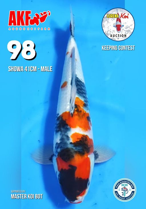 Lelang Koi Online, Jual Beli Ikan Koi, Pusat Jual Beli Koi, Info Lelang Koi Hari Ini, Platform Jual Beli Koi, Jual Beli Ikan Koi Online, Marketplace Ikan Koi, Jual Koi Terbaik, Tempat Beli Koi Berkualitas, Pasar Ikan Koi Online Terpercaya, Penjual Ikan Koi Terpercaya, Beli Koi Hias Online, Ikan Koi untuk Dijual, Koi Kualitas Terbaik, Toko Online Ikan Koi, Koi Hias Untuk Dijual, Jual Beli Ikan Koi Lokal, Koi Indonesia Online, Pusat Jual Beli Koi Terbesar