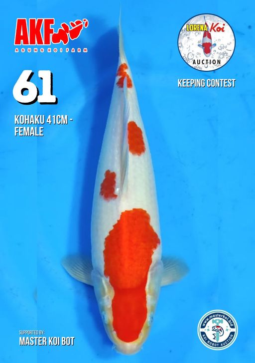 Lelang Koi Online, Jual Beli Ikan Koi, Pusat Jual Beli Koi, Info Lelang Koi Hari Ini, Platform Jual Beli Koi, Jual Beli Ikan Koi Online, Marketplace Ikan Koi, Jual Koi Terbaik, Tempat Beli Koi Berkualitas, Pasar Ikan Koi Online Terpercaya, Penjual Ikan Koi Terpercaya, Beli Koi Hias Online, Ikan Koi untuk Dijual, Koi Kualitas Terbaik, Toko Online Ikan Koi, Koi Hias Untuk Dijual, Jual Beli Ikan Koi Lokal, Koi Indonesia Online, Pusat Jual Beli Koi Terbesar