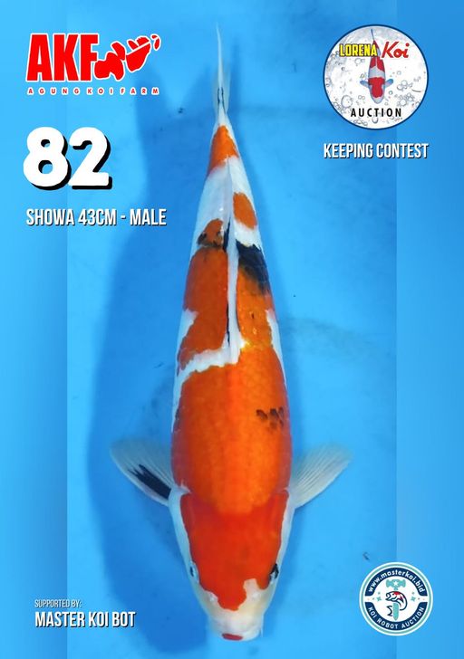 Lelang Koi Online, Jual Beli Ikan Koi, Pusat Jual Beli Koi, Info Lelang Koi Hari Ini, Platform Jual Beli Koi, Jual Beli Ikan Koi Online, Marketplace Ikan Koi, Jual Koi Terbaik, Tempat Beli Koi Berkualitas, Pasar Ikan Koi Online Terpercaya, Penjual Ikan Koi Terpercaya, Beli Koi Hias Online, Ikan Koi untuk Dijual, Koi Kualitas Terbaik, Toko Online Ikan Koi, Koi Hias Untuk Dijual, Jual Beli Ikan Koi Lokal, Koi Indonesia Online, Pusat Jual Beli Koi Terbesar