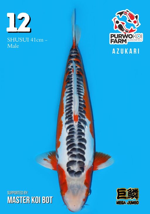 Lelang Koi Online, Jual Beli Ikan Koi, Pusat Jual Beli Koi, Info Lelang Koi Hari Ini, Platform Jual Beli Koi, Jual Beli Ikan Koi Online, Marketplace Ikan Koi, Jual Koi Terbaik, Tempat Beli Koi Berkualitas, Pasar Ikan Koi Online Terpercaya, Penjual Ikan Koi Terpercaya, Beli Koi Hias Online, Ikan Koi untuk Dijual, Koi Kualitas Terbaik, Toko Online Ikan Koi, Koi Hias Untuk Dijual, Jual Beli Ikan Koi Lokal, Koi Indonesia Online, Pusat Jual Beli Koi Terbesar