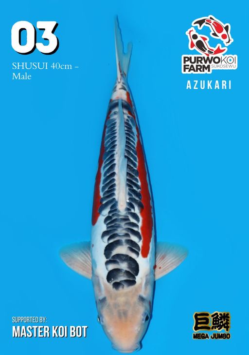 Lelang Koi Online, Jual Beli Ikan Koi, Pusat Jual Beli Koi, Info Lelang Koi Hari Ini, Platform Jual Beli Koi, Jual Beli Ikan Koi Online, Marketplace Ikan Koi, Jual Koi Terbaik, Tempat Beli Koi Berkualitas, Pasar Ikan Koi Online Terpercaya, Penjual Ikan Koi Terpercaya, Beli Koi Hias Online, Ikan Koi untuk Dijual, Koi Kualitas Terbaik, Toko Online Ikan Koi, Koi Hias Untuk Dijual, Jual Beli Ikan Koi Lokal, Koi Indonesia Online, Pusat Jual Beli Koi Terbesar