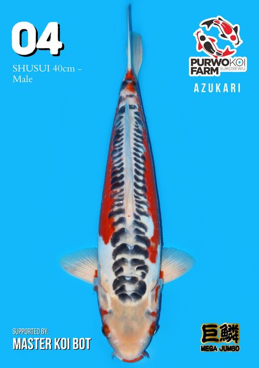 Lelang Koi Online, Jual Beli Ikan Koi, Pusat Jual Beli Koi, Info Lelang Koi Hari Ini, Platform Jual Beli Koi, Jual Beli Ikan Koi Online, Marketplace Ikan Koi, Jual Koi Terbaik, Tempat Beli Koi Berkualitas, Pasar Ikan Koi Online Terpercaya, Penjual Ikan Koi Terpercaya, Beli Koi Hias Online, Ikan Koi untuk Dijual, Koi Kualitas Terbaik, Toko Online Ikan Koi, Koi Hias Untuk Dijual, Jual Beli Ikan Koi Lokal, Koi Indonesia Online, Pusat Jual Beli Koi Terbesar