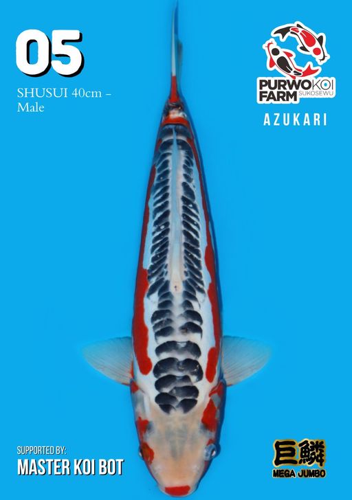 Lelang Koi Online, Jual Beli Ikan Koi, Pusat Jual Beli Koi, Info Lelang Koi Hari Ini, Platform Jual Beli Koi, Jual Beli Ikan Koi Online, Marketplace Ikan Koi, Jual Koi Terbaik, Tempat Beli Koi Berkualitas, Pasar Ikan Koi Online Terpercaya, Penjual Ikan Koi Terpercaya, Beli Koi Hias Online, Ikan Koi untuk Dijual, Koi Kualitas Terbaik, Toko Online Ikan Koi, Koi Hias Untuk Dijual, Jual Beli Ikan Koi Lokal, Koi Indonesia Online, Pusat Jual Beli Koi Terbesar