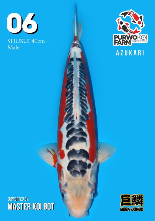 Lelang Koi Online, Jual Beli Ikan Koi, Pusat Jual Beli Koi, Info Lelang Koi Hari Ini, Platform Jual Beli Koi, Jual Beli Ikan Koi Online, Marketplace Ikan Koi, Jual Koi Terbaik, Tempat Beli Koi Berkualitas, Pasar Ikan Koi Online Terpercaya, Penjual Ikan Koi Terpercaya, Beli Koi Hias Online, Ikan Koi untuk Dijual, Koi Kualitas Terbaik, Toko Online Ikan Koi, Koi Hias Untuk Dijual, Jual Beli Ikan Koi Lokal, Koi Indonesia Online, Pusat Jual Beli Koi Terbesar